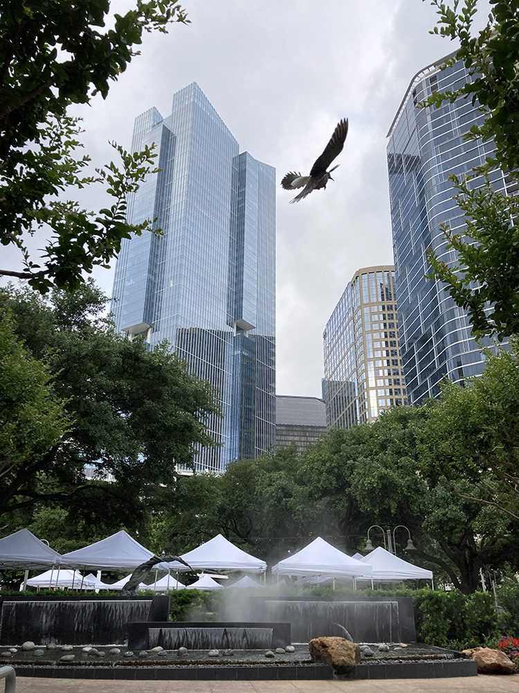 Mayor Confident Houston Will Be Hockey Winner